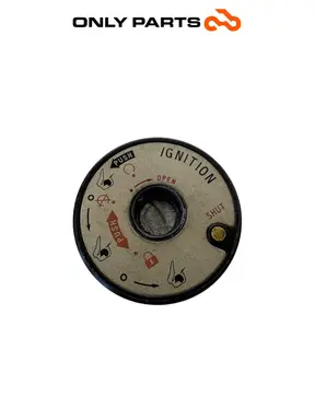 Cover blocchetto accensione  Kymco People GTi 300 2014 (ignition switch) Kymco People GTi 300cc 2014 Bianco usato — foto reale 2