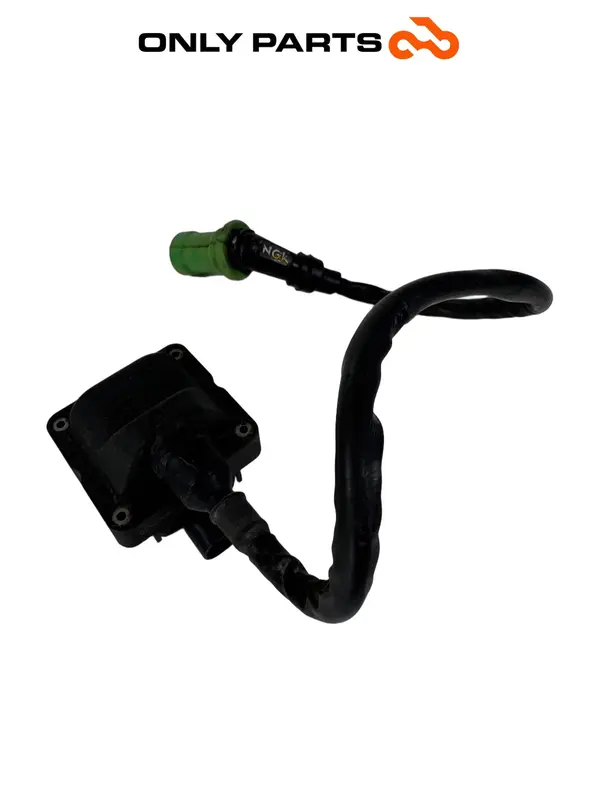 BOBINA ACCENSIONE CON CAVO E PIPETTA PIAGGIO MP3 250 2009 / IGNITION COIL ASSY