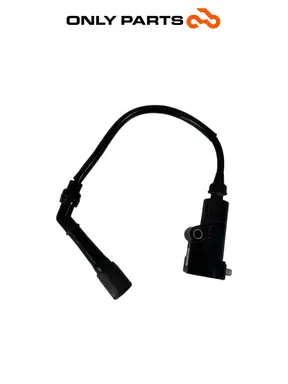 Bobina accensione Quadro 350 S 2013 Nero usato — foto reale 6