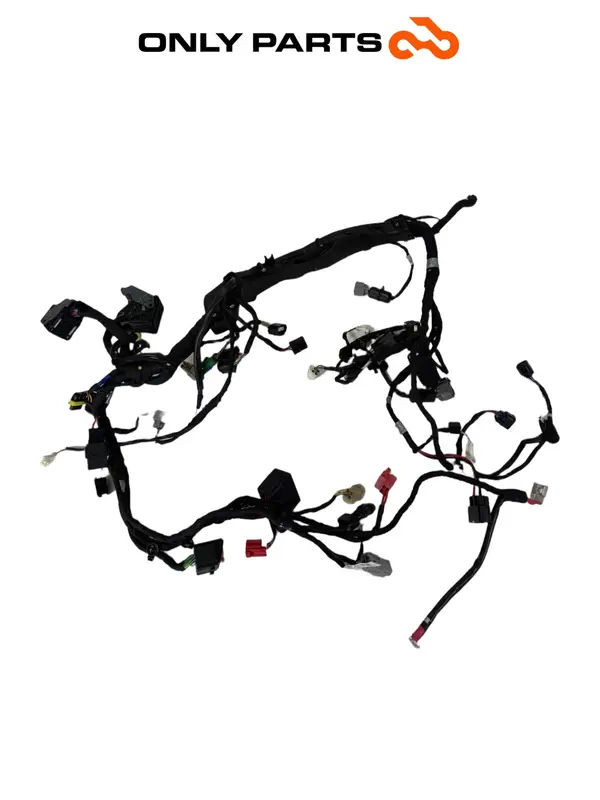 IMPIANTO ELETTRICO APRILIA RS 457 2024 VEDI FOTO DANNEGGIATO SOLO RECUPERO SPINE