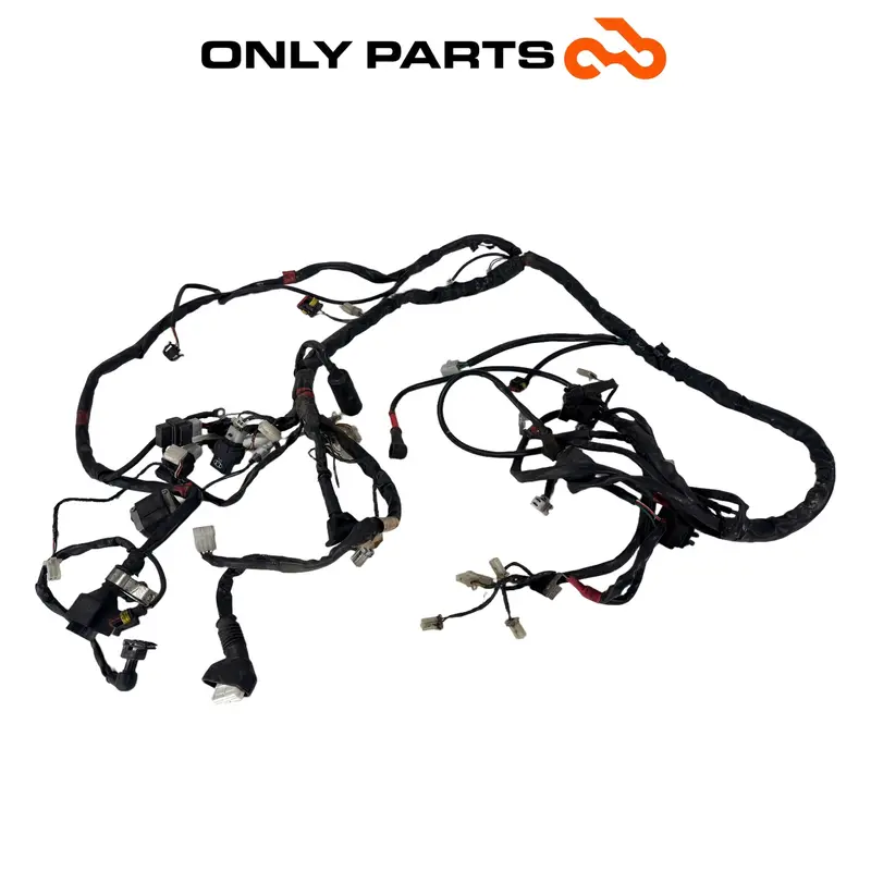 CABLAGGIO ELETTRICO IMPIANTO PRINCIPALE APRILIA SCARABEO 300 2010 / WIRING LOOM