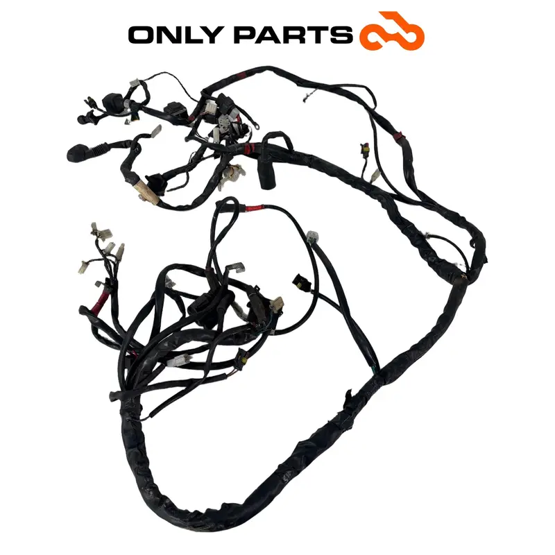 CABLAGGIO ELETTRICO IMPIANTO PRINCIPALE APRILIA SCARABEO 300 2010 / WIRING LOOM — 2