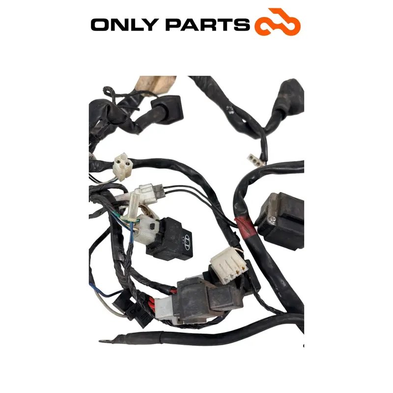 CABLAGGIO ELETTRICO IMPIANTO PRINCIPALE APRILIA SCARABEO 300 2010 / WIRING LOOM — 3