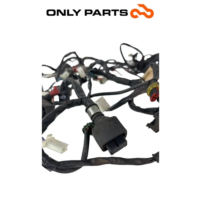 CABLAGGIO ELETTRICO IMPIANTO PRINCIPALE APRILIA SCARABEO 300 2010 / WIRING LOOM — 5