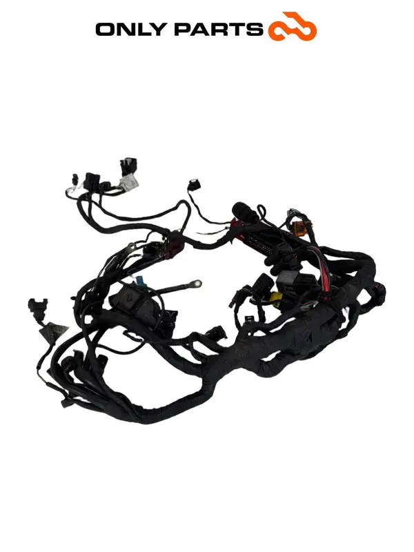 CABLAGGIO ELETTRICO IMPIANTO PRINCIPALE BMW F 650 CS 2001 / MAIN WIRING HARNESS
