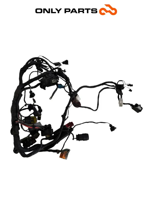 CABLAGGIO ELETTRICO IMPIANTO PRINCIPALE BMW F 650 CS 2001 / MAIN WIRING HARNESS — 2