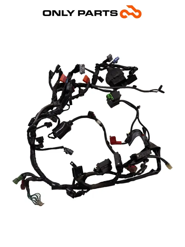 Cablaggio elettrico principale — 3