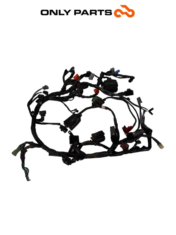 Cablaggio elettrico principale — 4