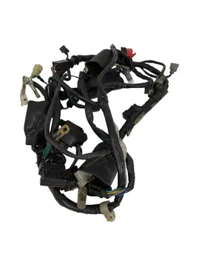 Cablaggio elettrico principale Honda CBF 125cc 2009 Nero usato — foto reale 1