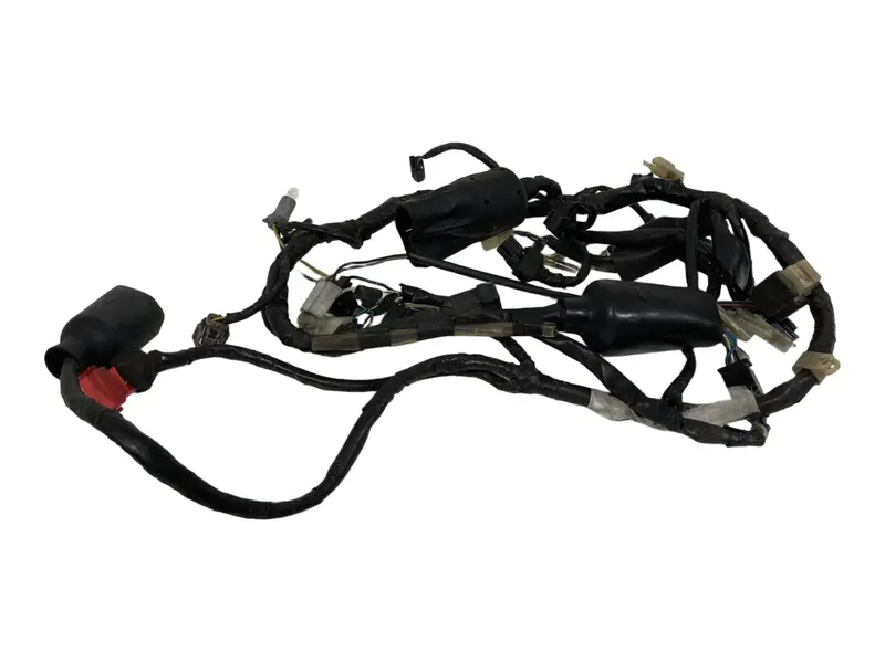 Cablaggio elettrico principale — 2