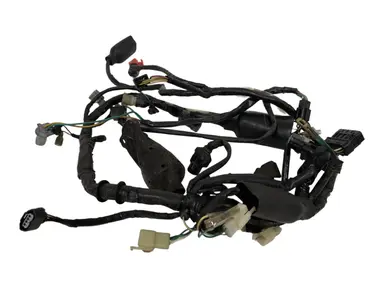 Cablaggio elettrico principale Honda CBF 125cc 2009 Nero usato — foto reale 3
