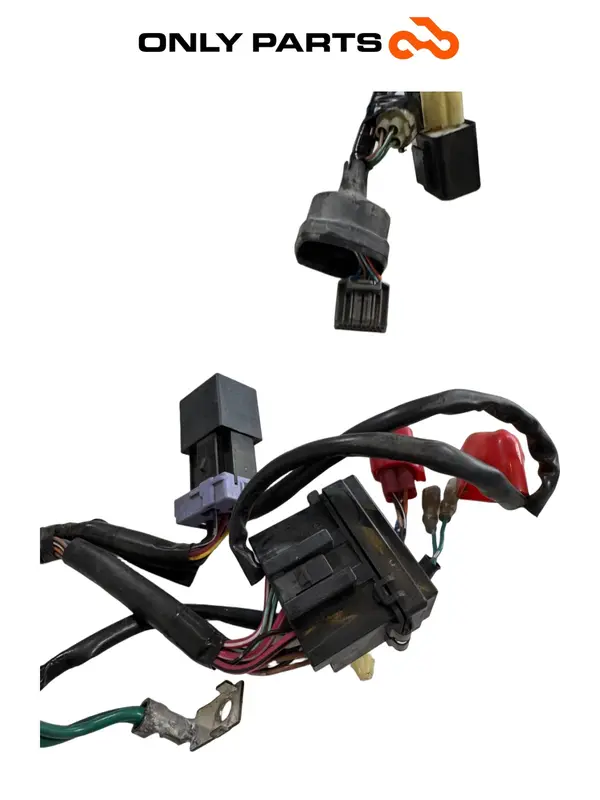 CABLAGGIO IMPIANTO ELETTRICO PRINCIPALE HONDA PCX 125CC 2011 MAIN WIRING HARNESS — 5