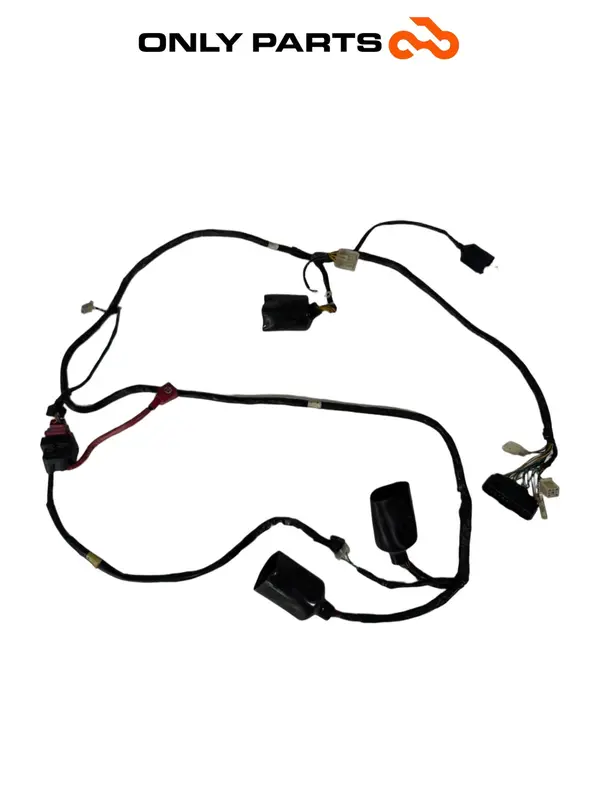 CABLAGGIO IMPIANTO ELETTRICO PRINCIPALE TELAIO HONDA SH 125 2004 WIRING HARNESS