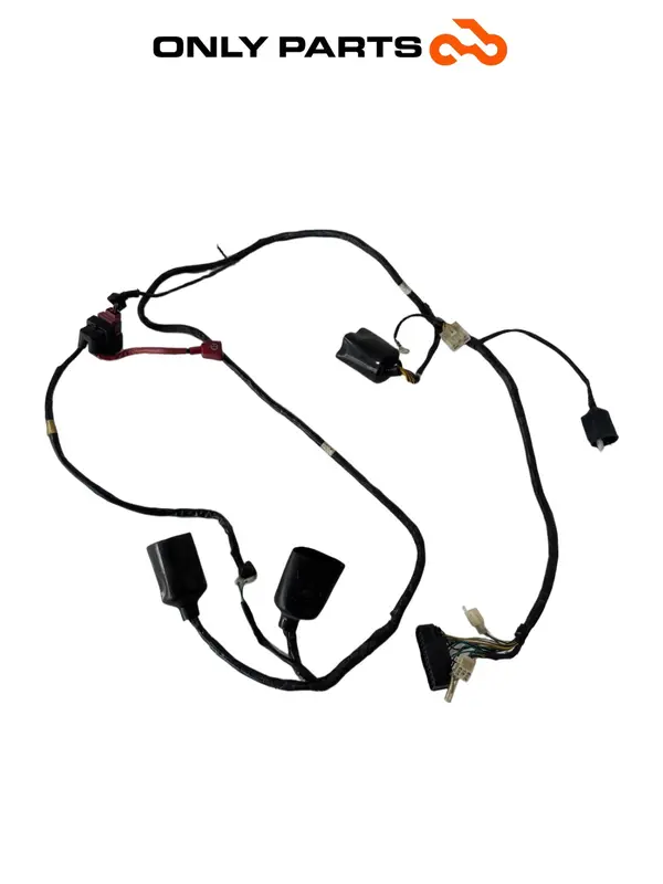 CABLAGGIO IMPIANTO ELETTRICO PRINCIPALE TELAIO HONDA SH 125 2004 WIRING HARNESS — 2