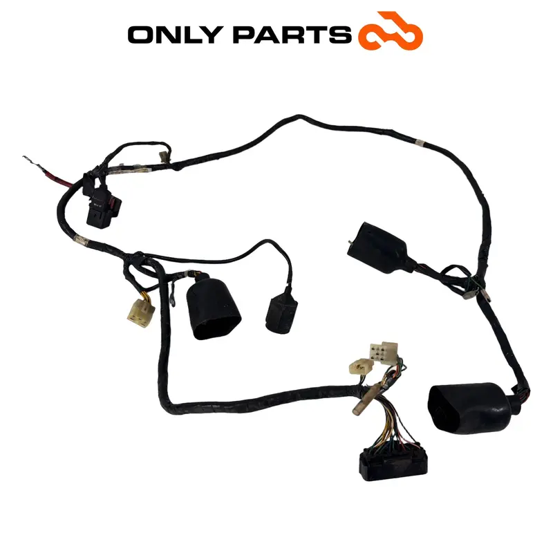 CABLAGGIO ELETTRICO IMPIANTO PRINCIPALE HONDA SH 150 2002 / MAIN WIRING HARNESS — 2