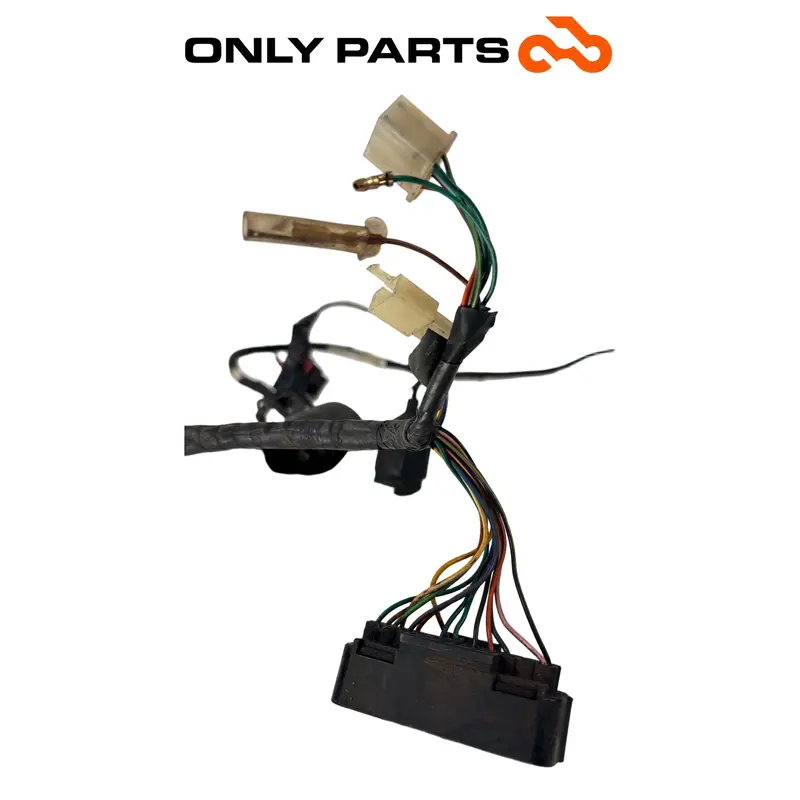 CABLAGGIO ELETTRICO IMPIANTO PRINCIPALE HONDA SH 150 2002 / MAIN WIRING HARNESS — 3