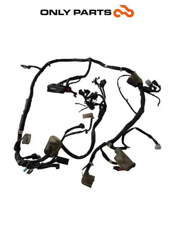 IMPIANTO ELETTRICO CABLAGGIO TELAIO HONDA SH 150CC 2017 MAIN WIRE WIRING HARNESS