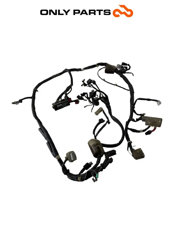 IMPIANTO ELETTRICO CABLAGGIO TELAIO HONDA SH 150CC 2017 MAIN WIRE WIRING HARNESS — 3