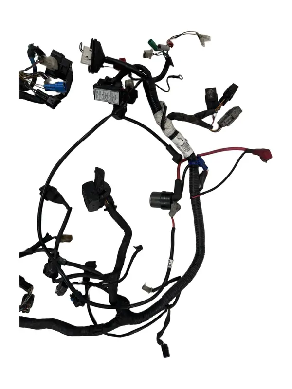 Cablaggio elettrico principale — 3