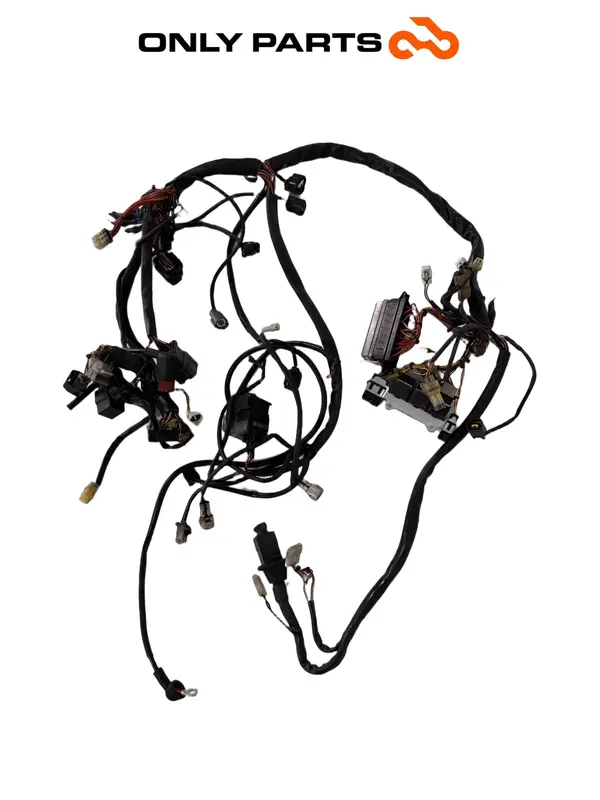 IMPIANTO ELETTRICO KTM SUPERDUKE 990CC 2006 CABLAGGIO PRINCIPALE OEM 61011075100 — 5