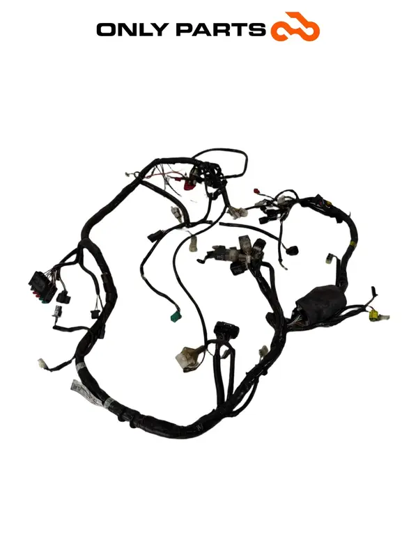 Cablaggio elettrico principale — 2