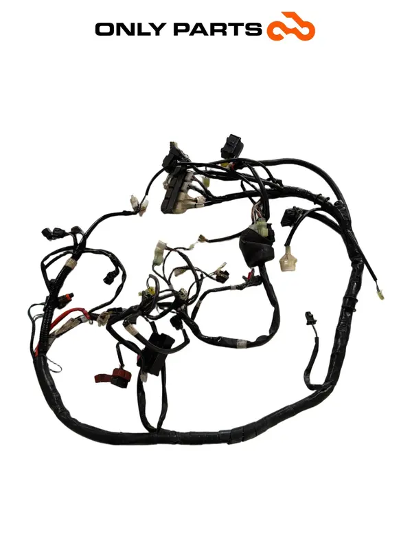 IMPIANTO ELETTRICO CABLAGGIO PRINCIPALE KYMCO PEOPLE S 300CC 2021 WIRING HARNESS — 2