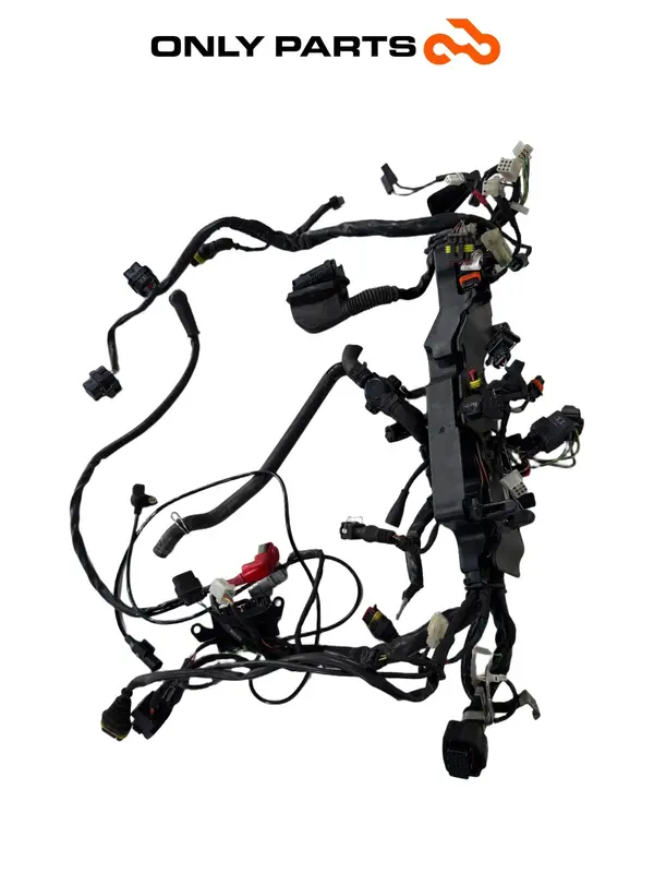 CABLAGGIO ELETTRICO PRINCIPALE MOTO GUZZI V7 III SPECIAL 750CC ANNO 2019 WIRING — 3
