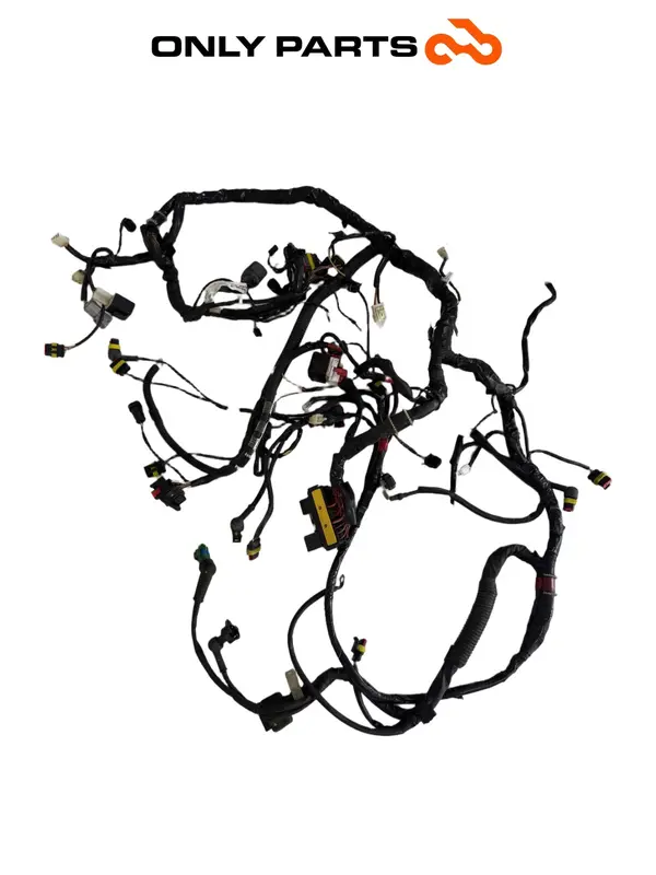 Cablaggio elettrico principale — 3