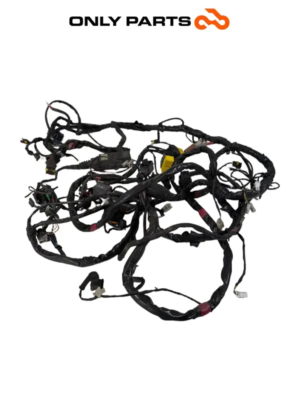 CABLAGGIO ELETTRICO IMPIANTO PRINCIPALE PIAGGIO MP3 250 2009 / MAIN WIRING LOOM