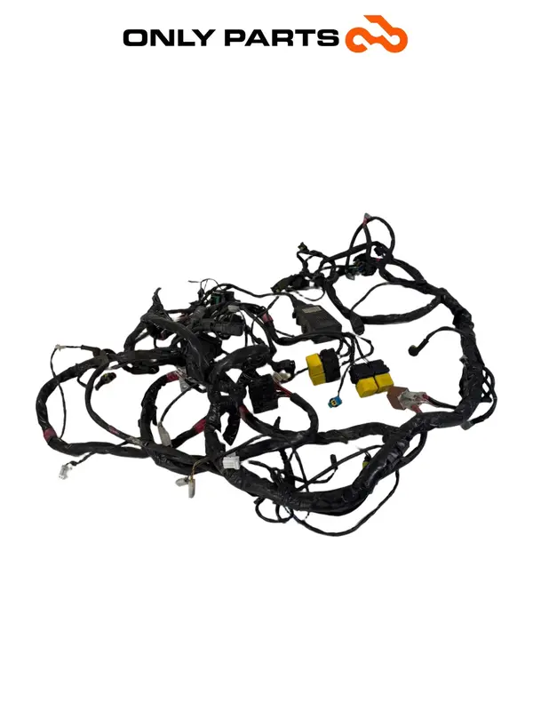 CABLAGGIO ELETTRICO IMPIANTO PRINCIPALE PIAGGIO MP3 250 2009 / MAIN WIRING LOOM — 3