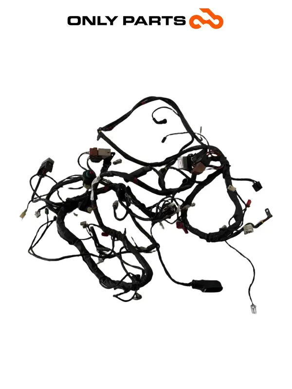 CABLAGGIO ELETTRICO IMPIANTO PRINCIPALE PIAGGIO X9 250 2005 / MAIN WIRING LOOM — 2