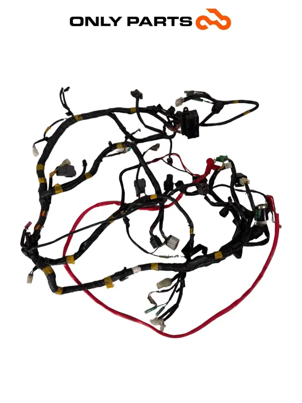 IMPIANTO ELETTRICO CABLAGGIO MATASSA CAVI QUADRO 350S 2013 MAIN WIRE HARNESS OEM