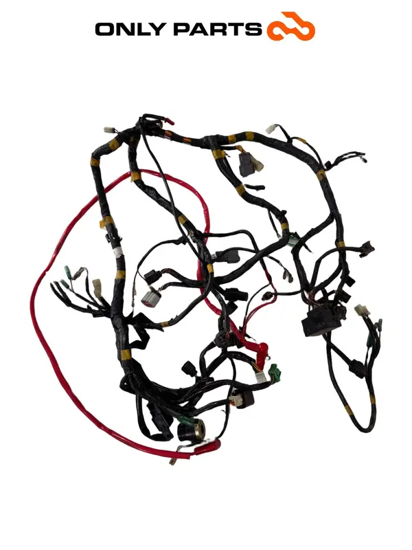 IMPIANTO ELETTRICO CABLAGGIO MATASSA CAVI QUADRO 350S 2013 MAIN WIRE HARNESS OEM — 2