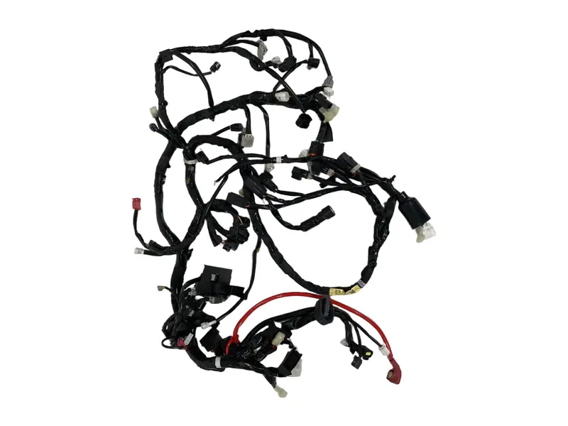 Cablaggio elettrico principale — 4