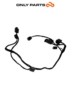 Cablaggio Keyless antenna BMW C 400 X 400cc 2020 Blu usato — foto reale 1