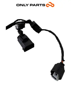 Cablaggio Keyless antenna BMW C 400 X 400cc 2020 Blu usato — foto reale 4