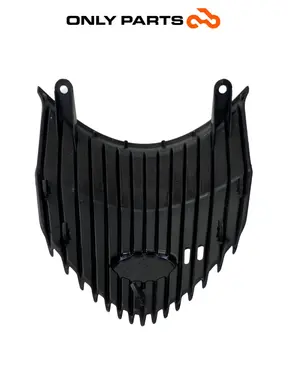 Carena anteriore scudo centrale 64303-LGE5-E00 Kymco People GTi 300 2014 (front shield cover) Kymco People GTi 300cc 2014 Bianco usato — foto reale 9