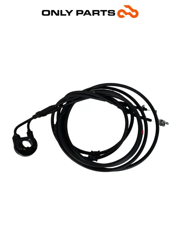 Cavo acceleratore — 2