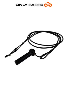 Comando gas + cavi Piaggio MP3 250cc 2009 Grigio usato — foto reale 3