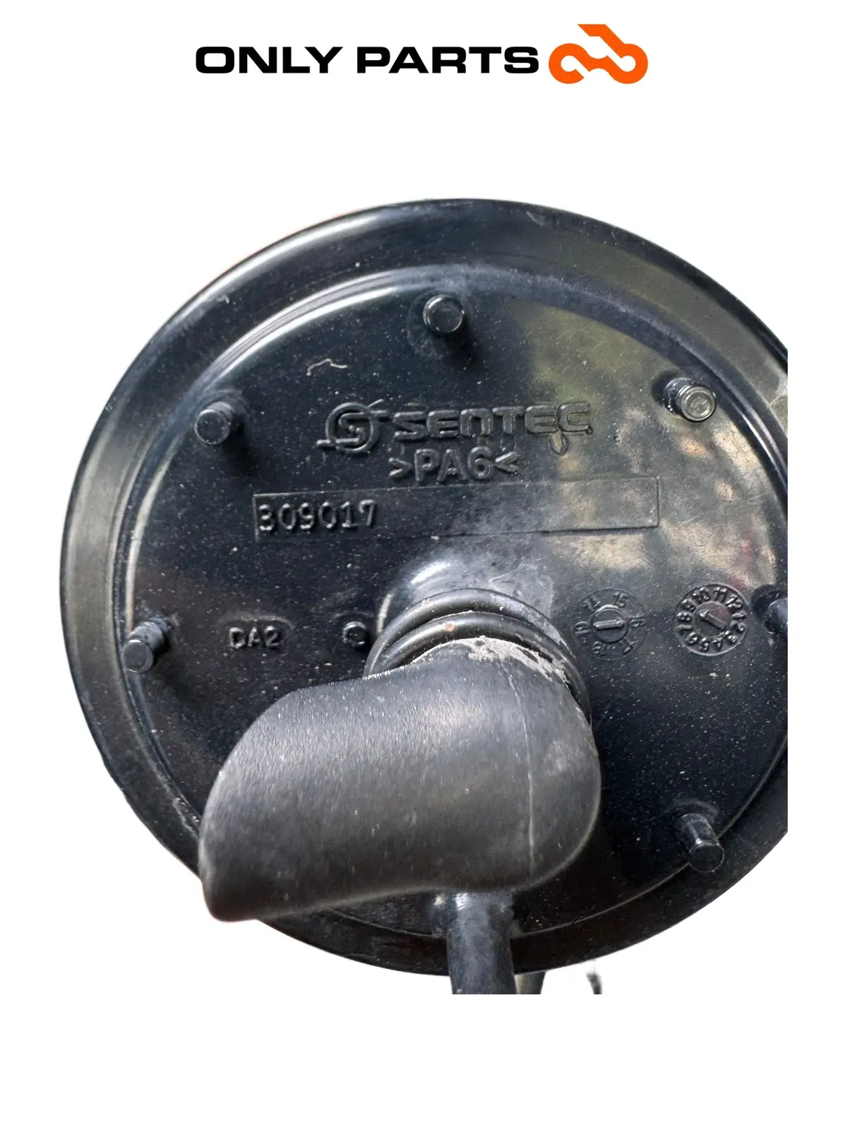 Filtro canister / Recupero vapori benzina Moto Guzzi V7 III Special 750cc 2019 Azzurro usato — foto reale 3