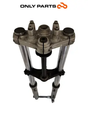 Forcella anteriore completa BMW F 650 CS 2001 Grigio usato — foto reale 1