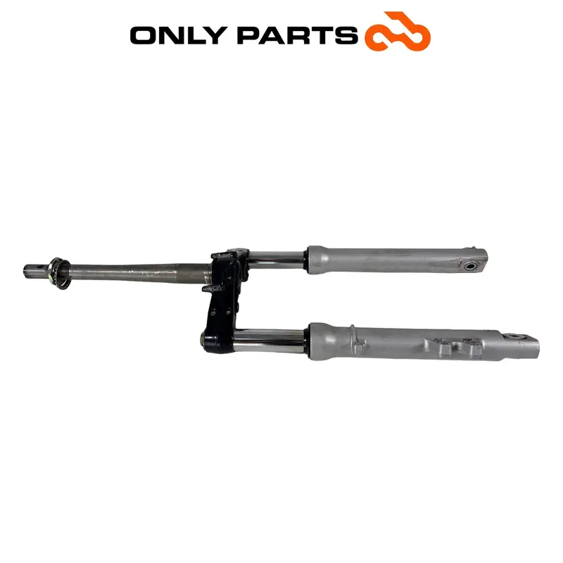 FORCELLA ANTERIORE COMPLETA DI PIASTRA STELI HONDA SH 150 2002 / SUSPENSION FORK — 2