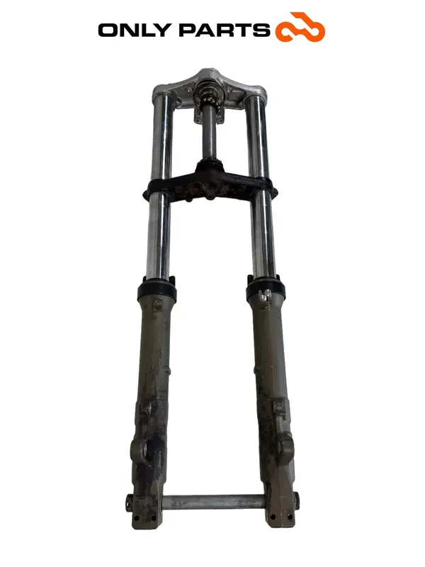 FORCELLA ANTERIORE COMPLETA STELI HONDA VTR 1000 F 1999 / FRONT FORK SUSPENSION — 3