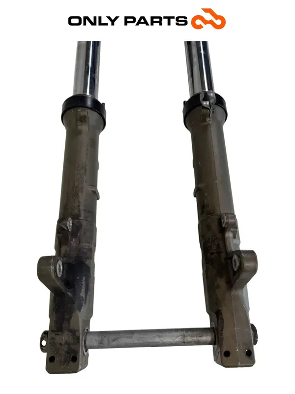 FORCELLA ANTERIORE COMPLETA STELI HONDA VTR 1000 F 1999 / FRONT FORK SUSPENSION — 4