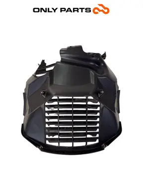 Griglia radiatore BMW C 400 X 400cc 2020 Blu usato — foto reale 1