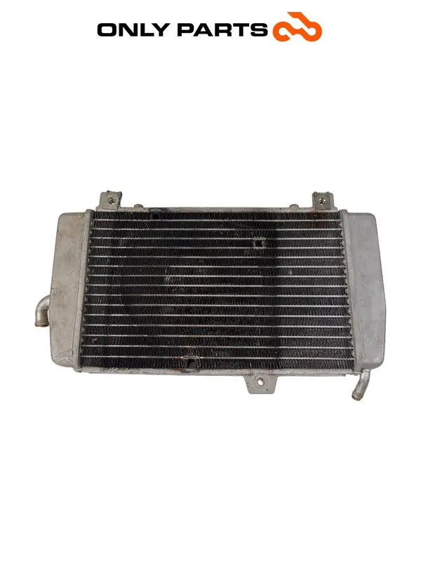 RADIATORE ACQUA RAFFREDDAMENTO ALLUMINIO PIAGGIO MP3 YOURBAN 300 2013 / COOLER