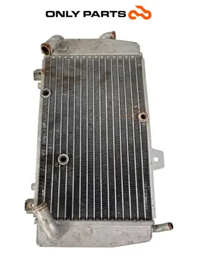 Radiatore acqua Piaggio Mp3 Yourban 300cc 2013 Bianco usato — foto reale 10