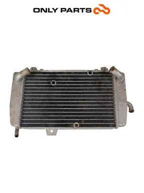 Radiatore acqua Piaggio Mp3 Yourban 300cc 2013 Bianco usato — foto reale 11