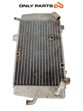 Radiatore acqua Piaggio Mp3 Yourban 300cc 2013 Bianco usato — foto reale 12