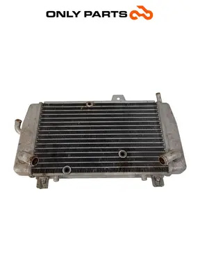 Radiatore acqua Piaggio Mp3 Yourban 300cc 2013 Bianco usato — foto reale 9